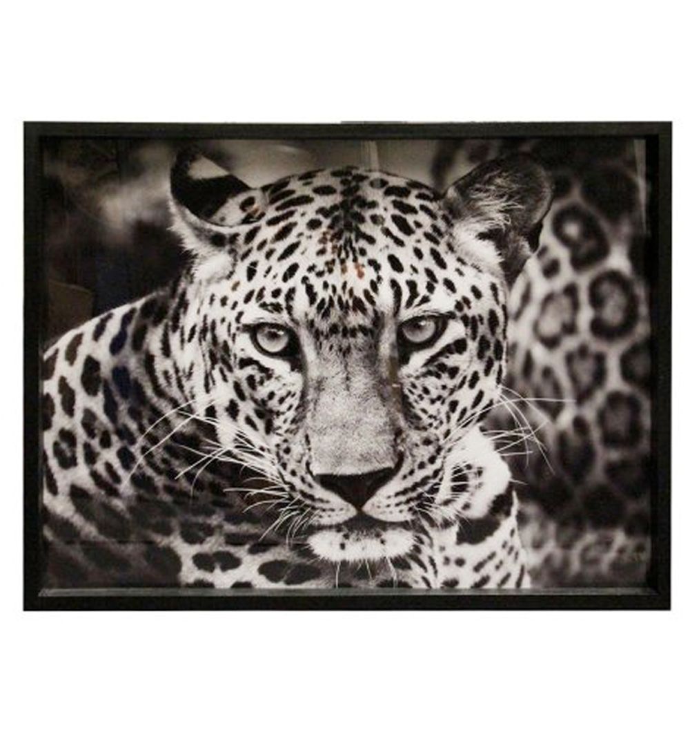 Cuadro Leopardo 65x85 cm
