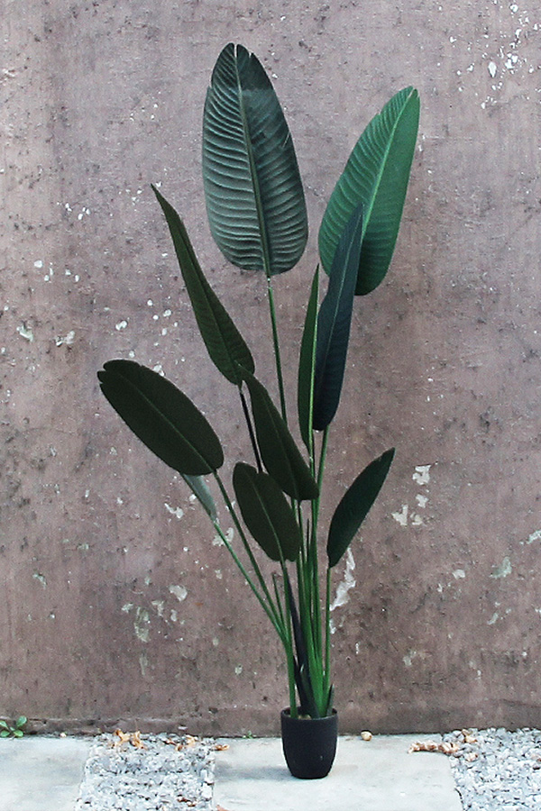 Palm Tree 1,60 cm